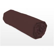Drap housse uni coton 57 fils chocolat 160x200 cm bonnet 25 cm