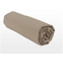 Drap housse uni coton 57 fils beige 180x200 cm bonnet 25cm