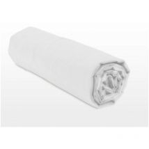 Drap housse uni coton 57 fils blanc 180x200 cm bonnet 25cm