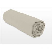 Drap housse uni coton 57 fils beige creme 160x200 cm bonnet 25 cm