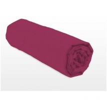 Drap housse uni coton 57 fils fuchsia 160x200 cm bonnet 25 cm