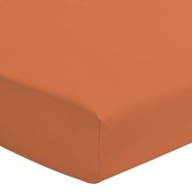Drap housse percale de coton orange 140x190 cm bonnet 30 cm
