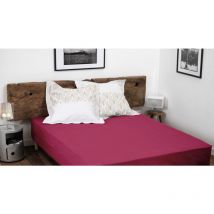 Drap housse uni coton 57 fils fuchsia 90x190 cm bonnet 30 cm
