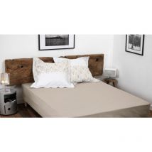 Drap housse uni coton 57 fils beige creme 180x200 cm bonnet 30 cm