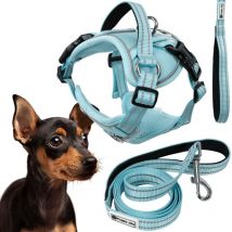 Leash and harness for a dog Tutumi PJ-054 Blue S