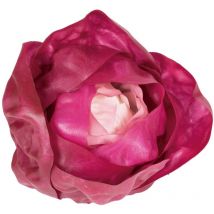 Lechuga iceberg morada