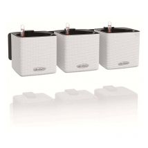 Lechuza - 3 pcs Jardinières Green Wall Home Kit Blanc
