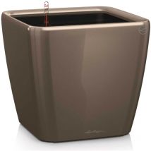Lechuza - quadro Premium ls 43 Komplettset taupe hochglanz