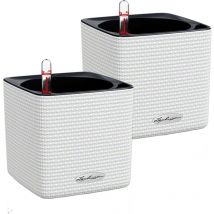 Cube Color 14 Komplettset weiß Vorteilsset 2 Stück - Lechuza