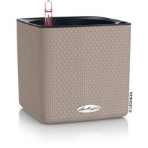 Cube Color 16 Komplettset sandbraun - Lechuza