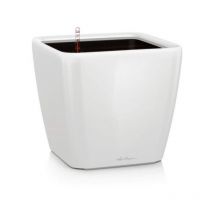 Lechuza - Pot de fleur - lec - Quadro Premium ls 50 - blanc brillant - systeme d'irrigation intégré