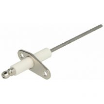 Lectrode d'ionisation