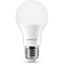 Lowenergie - led A60 Bulb 10w E27 6000K