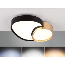 Trio Leuchten - Led Deckenleuchte Rise Mit Fernbedienung Dimmbar Schwarz Gold, Breite 43,5cm