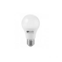 Ampoule LED standard E27 8W 6500K ECO
