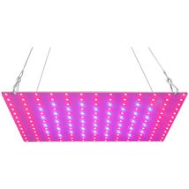 Led élèvent la lumière rouge bleu spectre complet 81 led lampes de culture panneau led élèvent la lumière pour plantes succulentes serre hydroponique