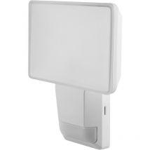 Ledvance - endura pro flood sensor 4058075228788 Projecteur led extérieur blanc A783352