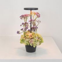 Poldina Reverso Dunkelgraue LED-Tischleuchte, wiederaufladbar und dimmbar mit einer Akkulaufzeit von bis zu 12 Stunden. Außen IP65