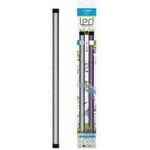 Marshall Cla60 Led-rampe Schwarz Für Aquarium 60-80l