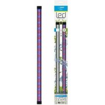 Marshall Cla60 Ciano Led-rampe Schwarz Wasserdicht Aquarium