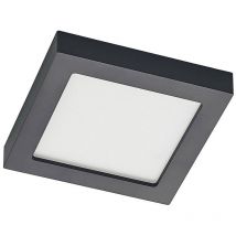 Lámpara de techo led 'Alette' en Negro Aluminio - Prios