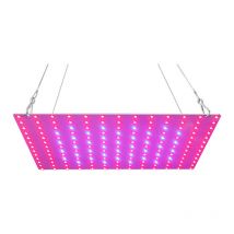 Lifcausal - Lampe de croissance à led rouge bleu spectre complet 81 led Lampes de croissance Panneau led Lampe de croissance pour plantes succulentes
