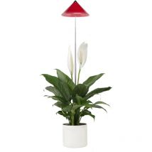 Digebis - Parus by Venso SUNLiTE 7W led Vollspektrum Pflanzenlampe Rot, Indoor Plants Pflanzen Beleuchtung, mit ausziehbarem Teleskopstab, Parus