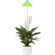 Digebis - Parus by Venso SUNLiTE 7W led Vollspektrum Pflanzenlampe Grün, Indoor Plants Pflanzen Beleuchtung, mit ausziehbarem Teleskopstab, Parus