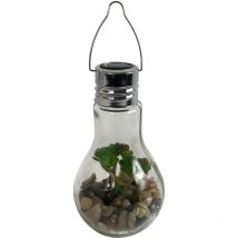Led Solar Glas Glühbirne zum Hängen mit Sukkulente-M52035-2