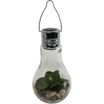 Led Solar Glas Glühbirne zum Hängen mit Sukkulente-M52035-3