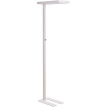 Led-stehlampe Weiß Metall 197 Cm Mit Knopf Dimmschalter Drehdimmer Langes Kabel Bogenlampe Industrie Wohnzimmer Ausstattung Beleuchtung
