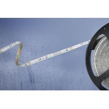 51540433 51540433 LED-Streifen mit offenem Kabelende 12 v 5 m Neutralweiß 1 St. - Barthelme Basic