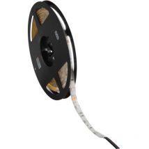 Kanlux - Ruban led étanche IP54 7,2W/m longueur 5m - rgb Multicolore