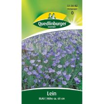 Quedlinburger Staudenlein Blau - Blumensamen