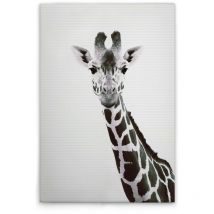 Leinwandbild Tiere Giraffe M1-no.51130 - Kunstdruck Auf Leinwand In Schwarz Weiß - Wandbild 80 X 120 Cm