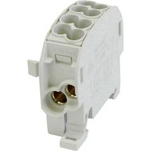 Hora Etec - HoraeTec 080110-0-3 Hauptleitungsabzweigklemme pa, Messing Lichtgrau (ral 7035) 1polig 100 a 690