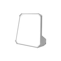 Spot Led Compact Magnum Future Accu 20 W 2000 Lm, Lampe D'Extérieur, Résistant Aux Chocs Ik10, Ra 80, 4000 K, Classe De Protect