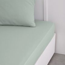 Essential - Lenzuolo con angoli, 140 x 190 cm, 2 persone, 100% cotone, tinta unita, Celadon - Today