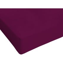 Homemania - Italian Bed Linen Max Color Lenzuolo Sotto A 1 Piazza E Mezza, 100% Cotone, Prugna, 1 Posto E Mezzo