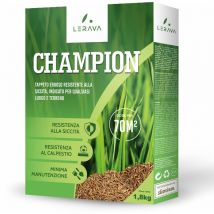 LERAVA CHAMPION - semi prato resistente - sementi prato resistenti alla siccità - adatti a tutti i luoghi e tipi di terreno - 70m²