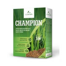 Champion - semi prato resistente - sementi prato resistenti alla siccità - adatti a tutti i luoghi e tipi di terreno - 30m² - Lerava