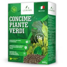 LERAVA Concime piante verdi [BIO] - 800g concime organico - fertilizzante per sansevieria, monstera deliciosa, cycas - Con ferro e manganese contro