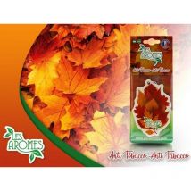 Les aromes deodorante auto specchietto anti tabacco