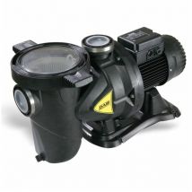Euroswim 100 t Pompe piscine - DAB