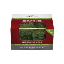 Mousse Lichen Vert Foncé 50 gr