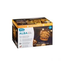 New Garden Alba Solar rechargeable battery