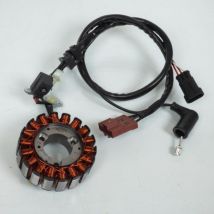 Lichtmaschine Sgr Für Roller Piaggio 300 Carnaby Ie 2010 Bis 2013