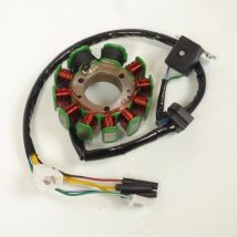 Lichtmaschine Sgr Für Roller Sym 200 Hd 2003 Bis 2007 Neu