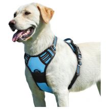 Linghhang - Light Blue, l, Dog Harness, Adjustable Reflective No Pull Dog Harness, Easy to Put on, with Control Handle, Breathable Dog Harness,