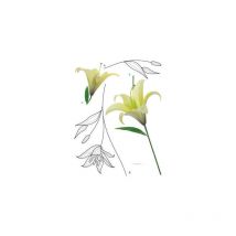 Sticker mural - Fleur de Lys - 65 x 85 cm